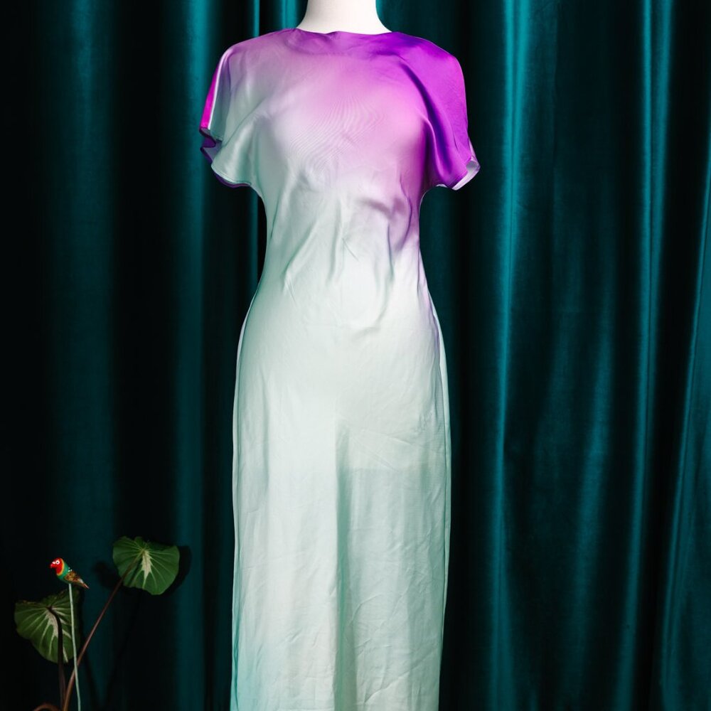 ZARA Purple and light blue maxi dress